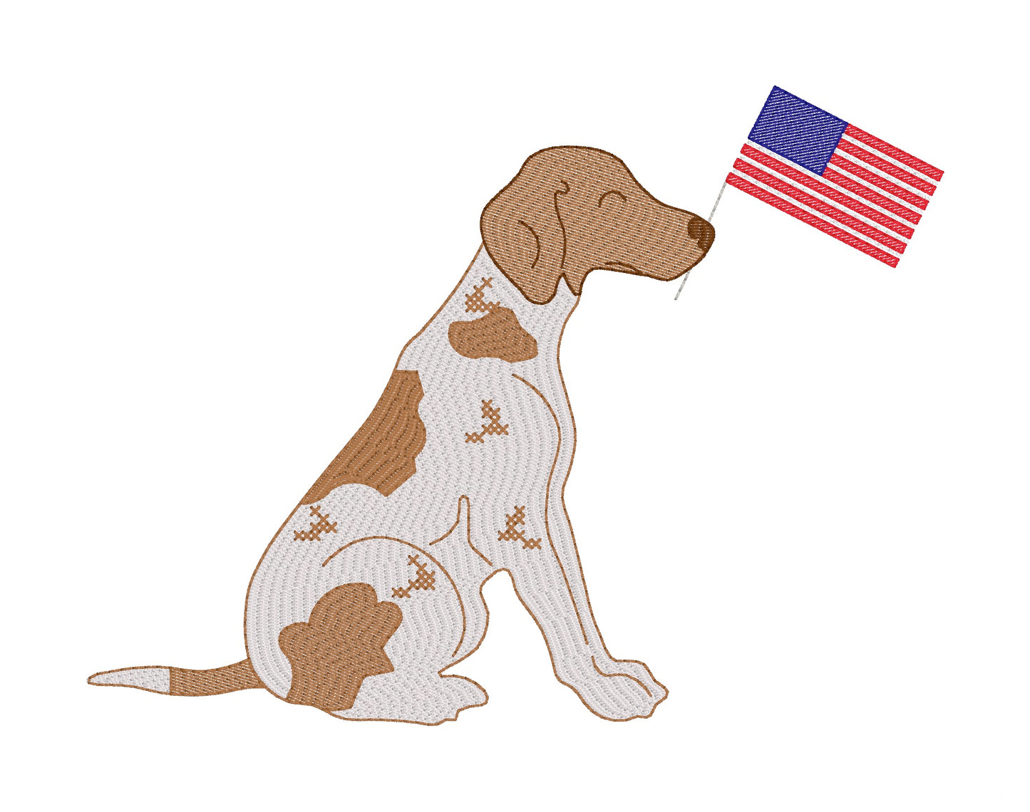German Shorthair Pointer with Flag
