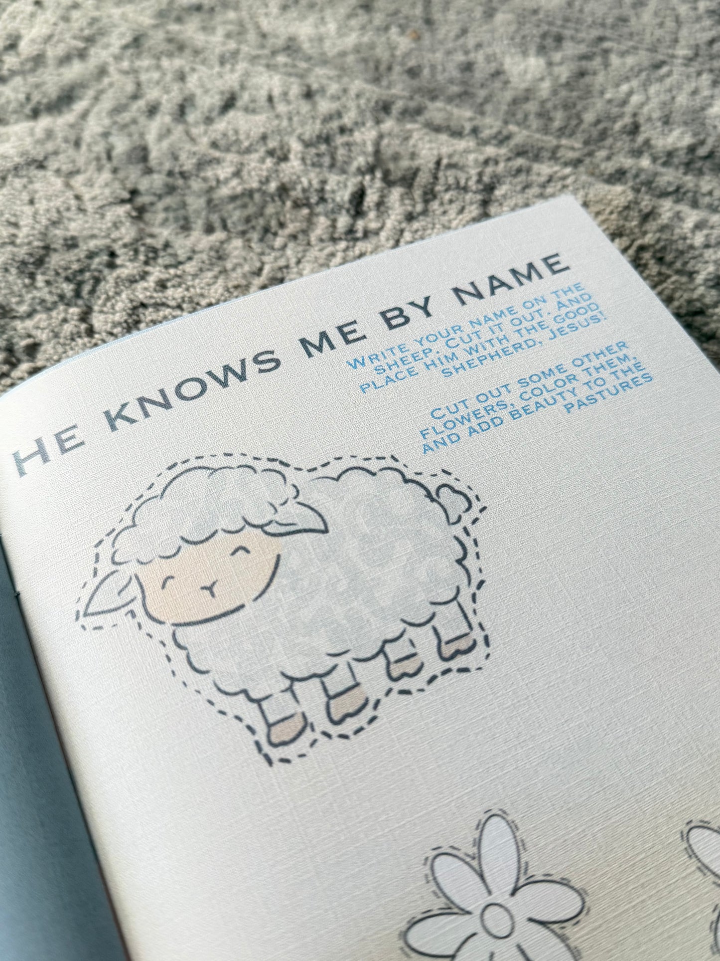 Wonderfully Made Activity Subscription